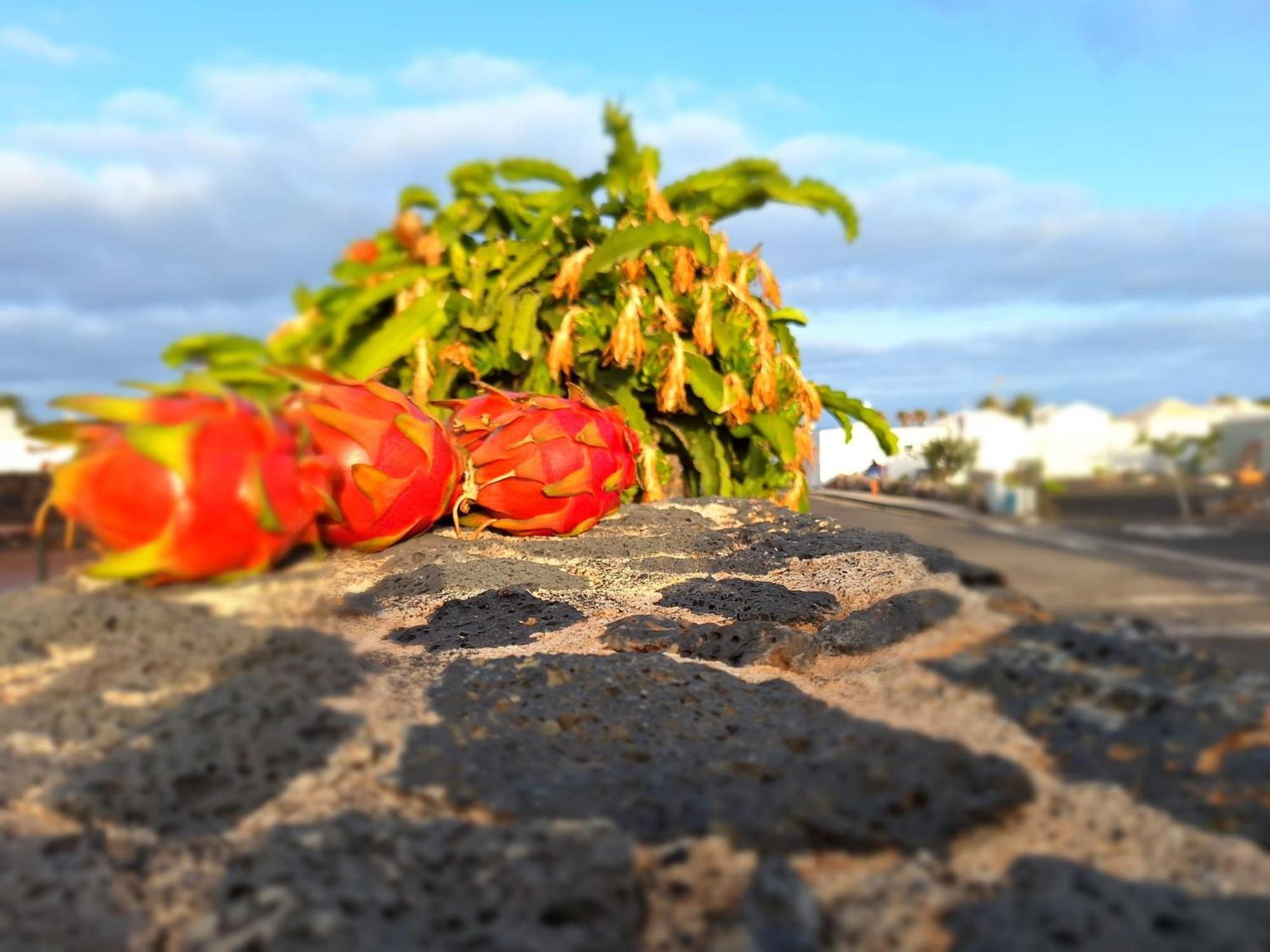 Mar En Calma Holiday home Teguise (Lanzarote)